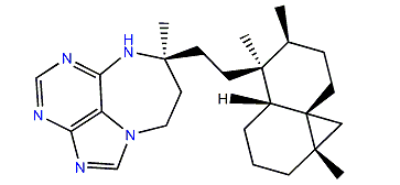 Asmarine J